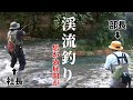 渓流釣りで社長&部長ペアを待っていたのは、ヤマメ?イワナ?アマゴ?一年越しの渓流釣りで珍事件連発!
