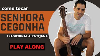 Vídeo de Senhora Cegonha
