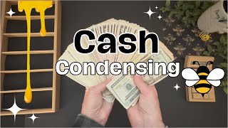 Cash Unstuffing 8 Binders | Bill Swap | ASMR Cash Counting