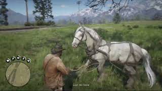 Red Dead Redemption 2 Gameplay on Xbox Series S 1440p