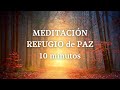 🌿 Meditación Guiada 10 minutos REFUGIO en el BOSQUE || LLUVIA RELAJANTE 🌿