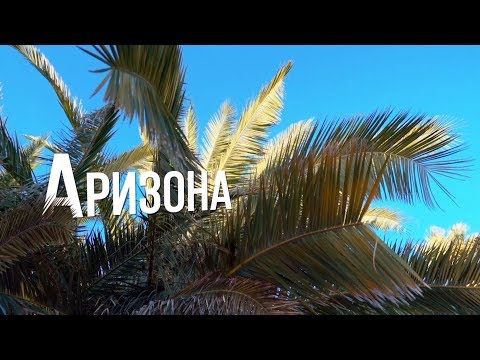 Аризона | АМЕРИКА. БОЛЬШОЕ ПУТЕШЕСТВИЕ | №14