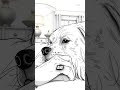Why Your Dog Climbs On You: A Surprising Reason! dog behavior explained why dogs climb on owners dog