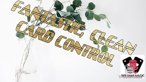 FANTASTIC, CLEAN CARD CONTROL #williamsnagic #magic #aceseverywhere  #overhandshufflecontrol