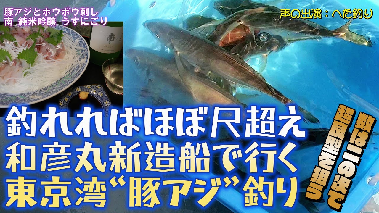 【声も出演版】釣れればほぼ尺超え!! 和彦丸新造船で行く東京湾“豚アジ”釣り～数は二の次で超良型を狙う～（2025.11.16 鮫洲・和彦丸 ショートビシアジ）