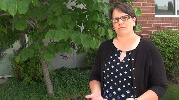 Carry York Culinary teacher on KP Compass Culinary Arts