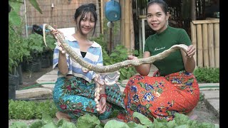 O M G Video Cooking Snake Soup 2022