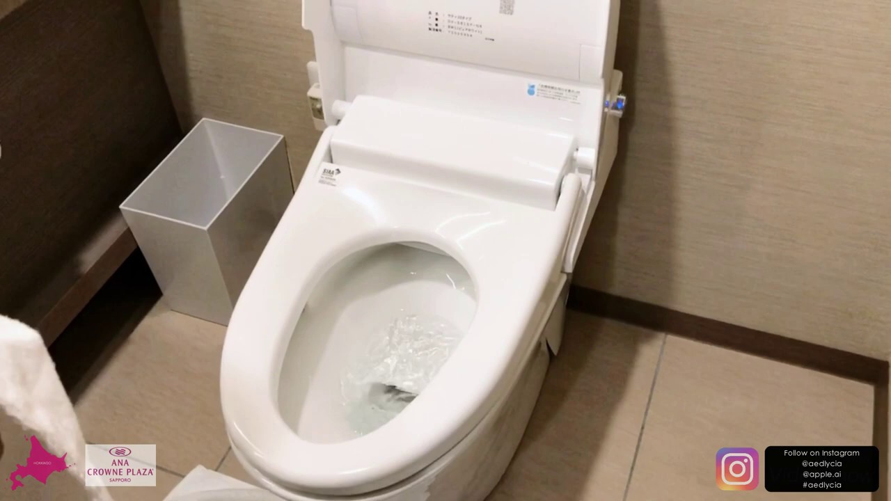 Toilet In Japan by Aedlycia