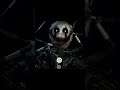 Fnaf is not for kids! #scary #fnaf
