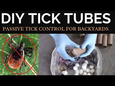 Homemade Tick Tubes for Backyard Tick Control DIY
