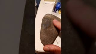 Milos Mud Fossils - Colorado