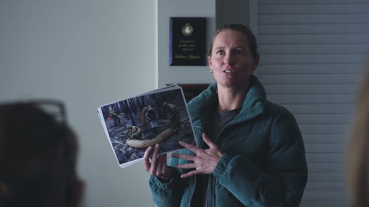 Bushfire Resilience Program in NSW