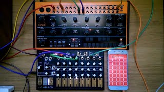 Make Noise 0-CTRL / Behringer Crave / Oscelot Wavebot
