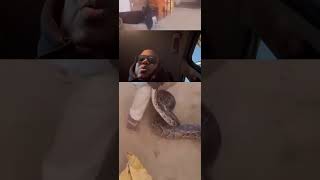 Don’t play with snakes! #python #snakevideo #wildlife #wow #dont_forget_to_like_and_subscribe #wtf