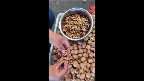 185 walnut in shell  whatsapp: +86 18736051516