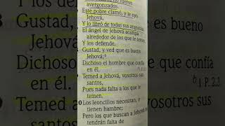 Salmo 34:7-9 El ángel de Jehová acampa alrededor de los que le temen, Y los defiende. Gustad, y ved
