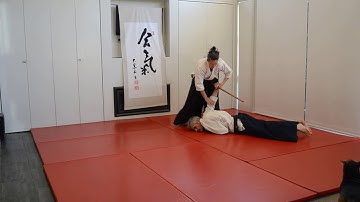 Adults Sankyu 3rd Kyu Part 3