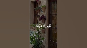 تلاوة قصيرة للشيخ علي الحذيفي