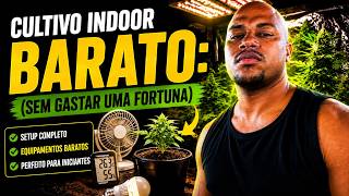 CHEAP Indoor Growing: (Without Spending a Fortune)
