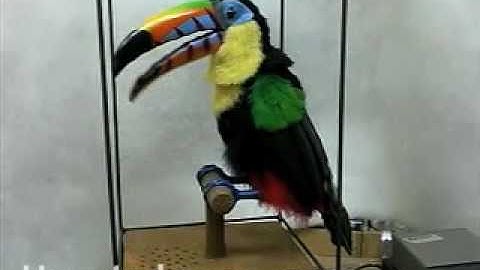 HAUNTEDPROPS.COM ANIMATED TOUCAN