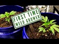 First time growing weed home grown days119