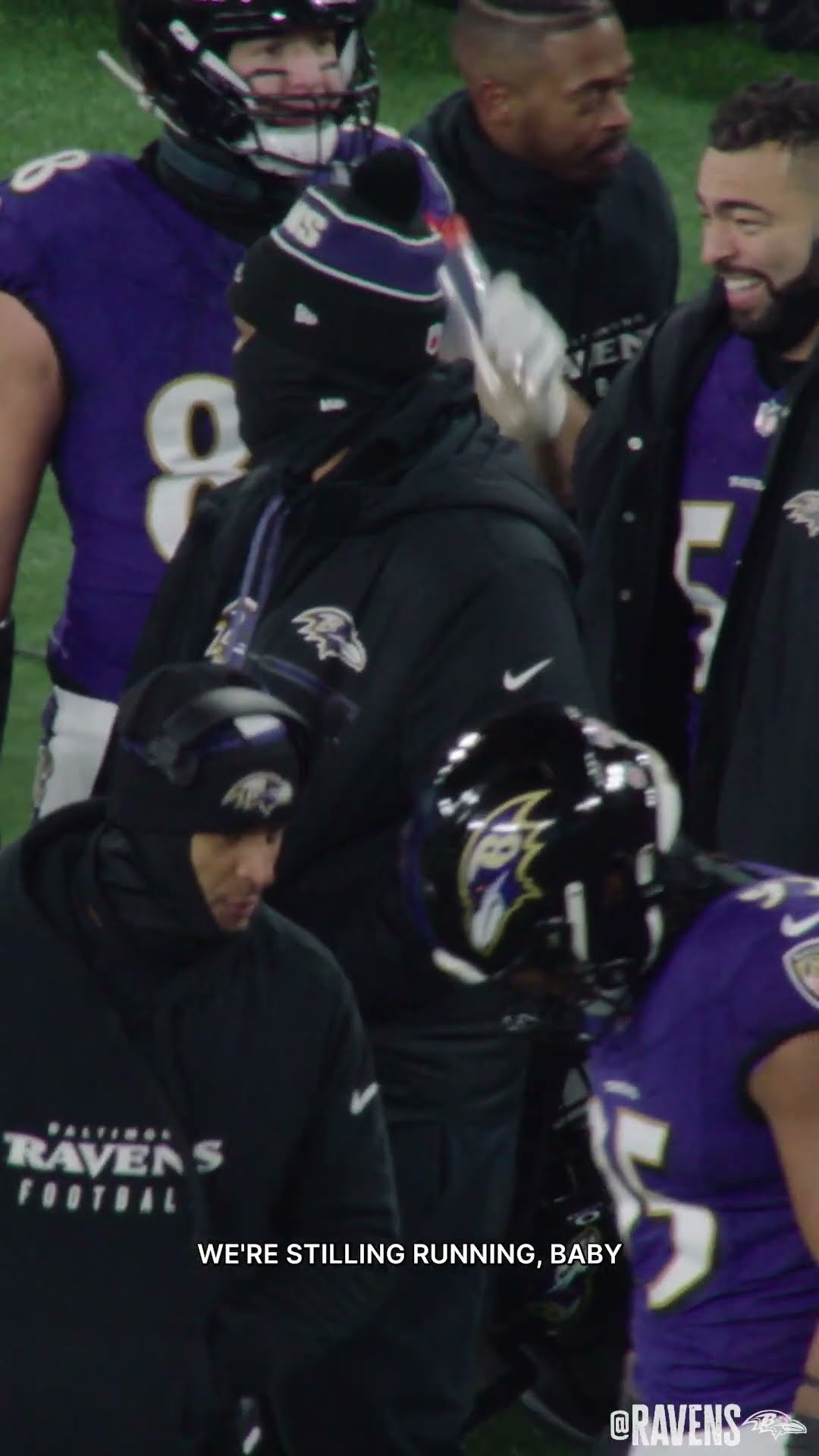 ? the cat is out of the bag #ravens #nflgameday #funny #shorts