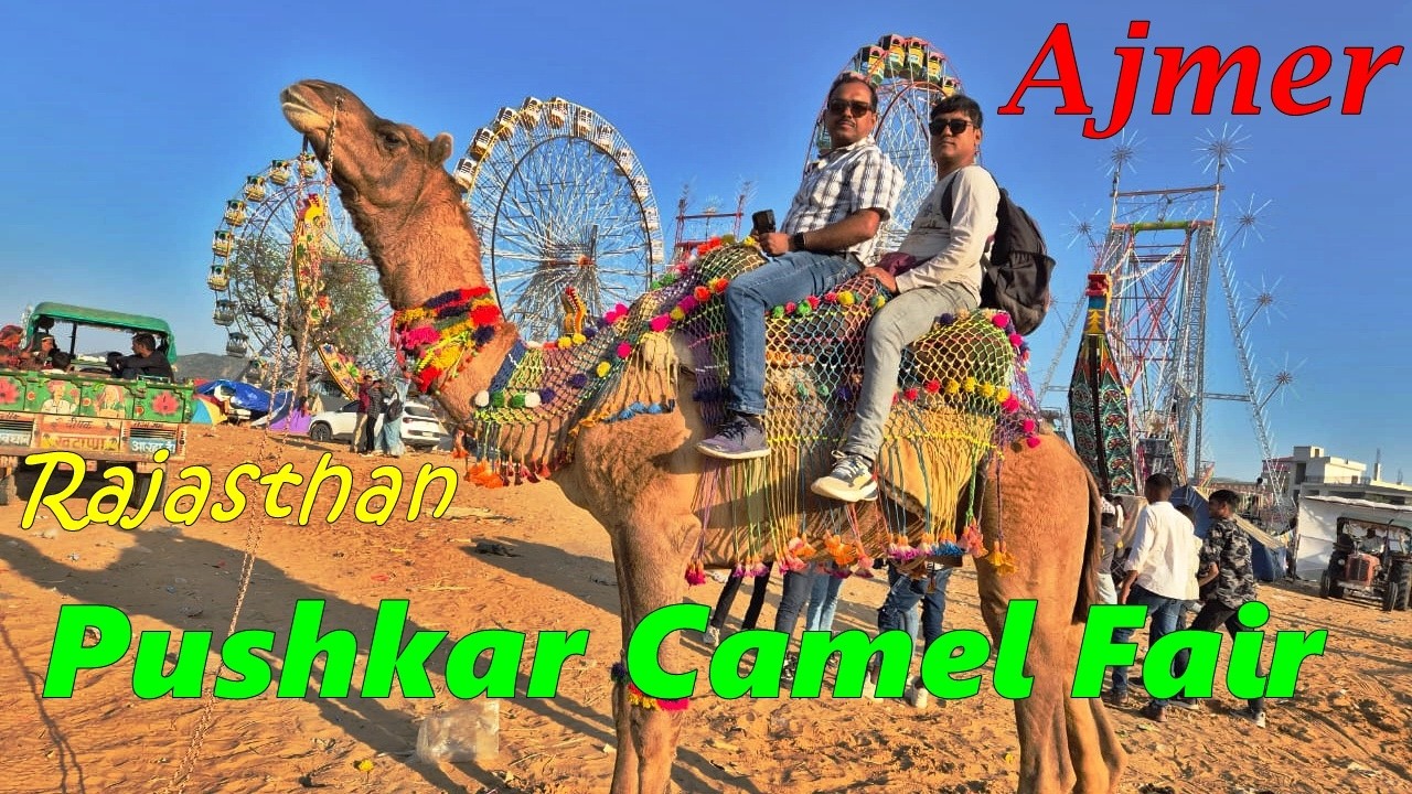 #jaipur  TO AJMER #pushkarcamelfair #rajasthantrip #PUSHKAR LAKE #ajmersharifdargah  #DAY– 6#Ep. #5.