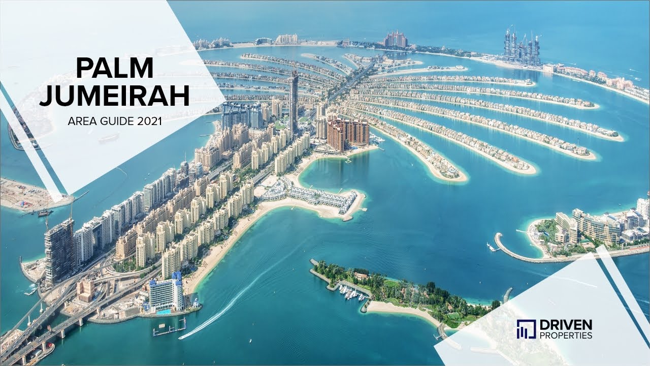 The Palm Jumeirah Area Guide 2023 YouTube