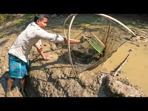 হাত দিয়ে পুকুর সেচে অনেক মাছ ধরলাম|Traditional Hand Fishing In Village Pond|Pond Exciting #fishing