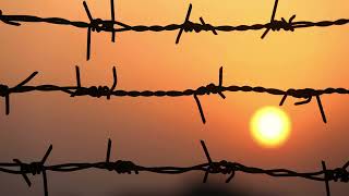 Ankara Panel Çit Ve Tel Örgü Sistemleri - 0530 155 29 27