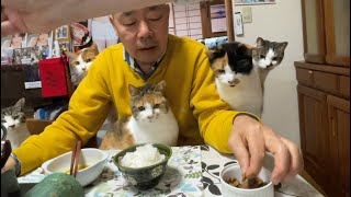 夜ごはんはすき焼き。/Sukiyaki for dinner.