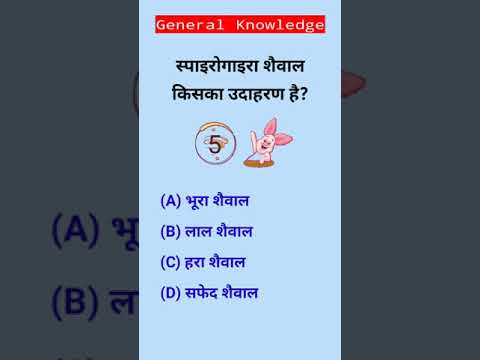 वीडियो: स्पाइरोगाइरा एक शैवाल क्यों है?