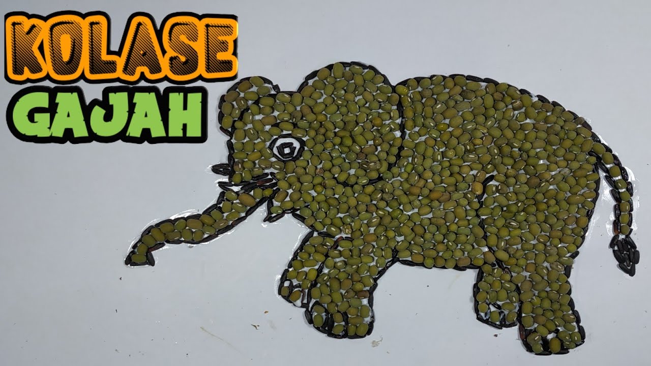 Sketsa Gambar Binatang Gajah : Sketsa Hewan Dan Tumbuhan Berwarna Tidak