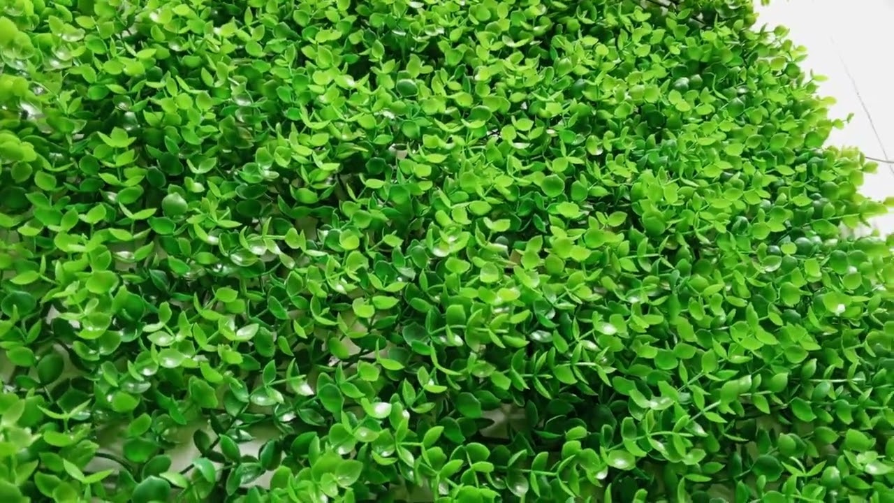 Review thảm cỏ treo tường và bảng hiệu 