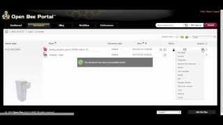 Celebrity Actions on documents - Lock (intermediate) - Open Bee Portal tutorial Wealth