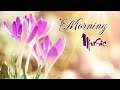 Morning Relaxing Music - Positive Piano Music for Stress Relief and Study - Morning With Birds Songs