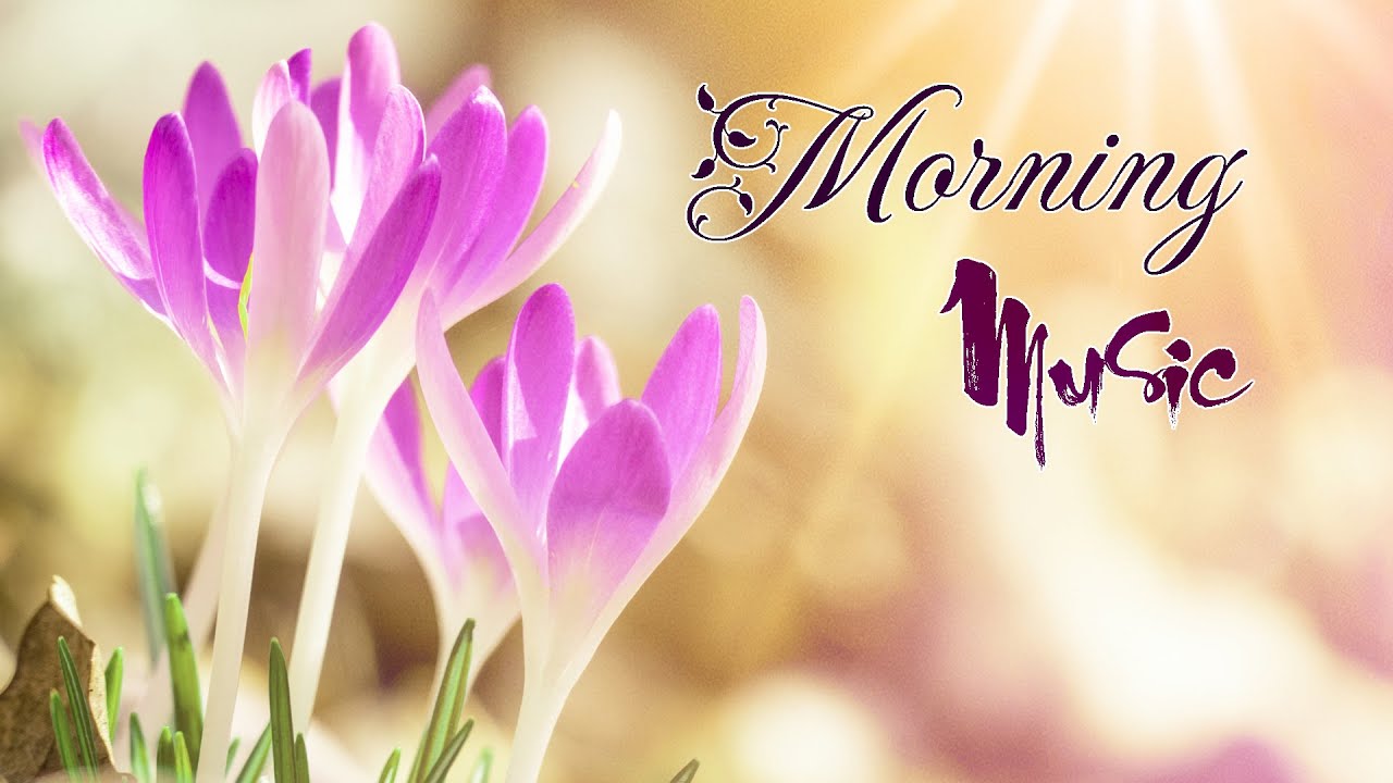 Morning Relaxing Music Positive Piano Music For Stress Relief And Study Morning With Birds Songs Video Fs
