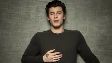 If You Sing You Lose (Shawn Mendes)