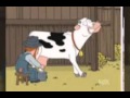 يابقره صبي لبن