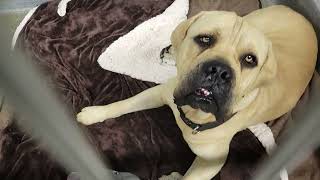 acs A664880