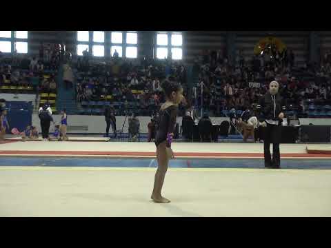 بطولة الجمهورية الأولي جمباز فني انسات تحت ٨ سنوات رونزا محمد الميدالية الذهبيه 