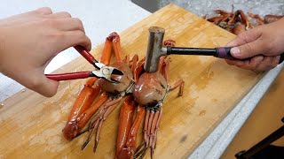 ハンマーがないと食べれない最強の殻をもつ蟹の味とは⁉︎【捕獲シーンあり】