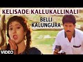 Kelisade Kallukallinali Video Song || Belli Kalungura || Sunil and Malashri || HAMSALEKHA