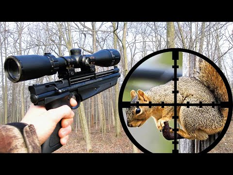 Squirrel Hunting with .177 Pellet Pistol (Scope Cam)