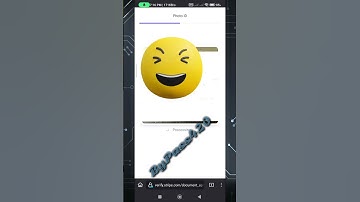 Stripe Photo ID selfie verification bypass method tools