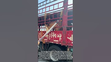 Record of a buffalo rescue trapped in a truck railing