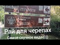 Сочи 2023. Сочинский уголок - Фитофантазия.