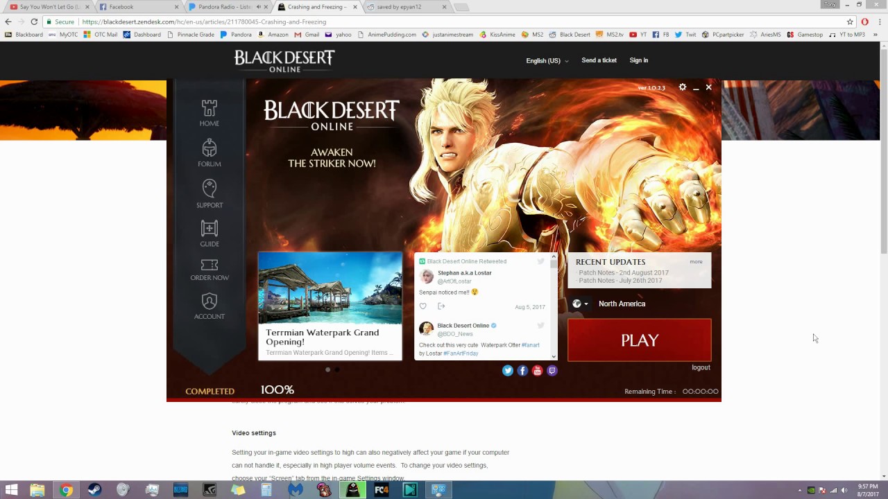 Black Desert Online cannot patch client black desert