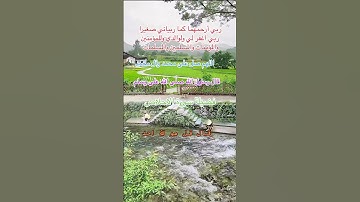 قال رسول الله صلّى الله على وسلم فضيلة سورة الاخلاص#اللهم_صل_وسلم_على_نبينا_محمد