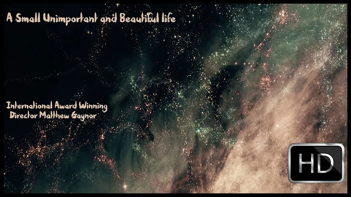 A Small, Unimportant, and Beautiful Life (2018) - ...